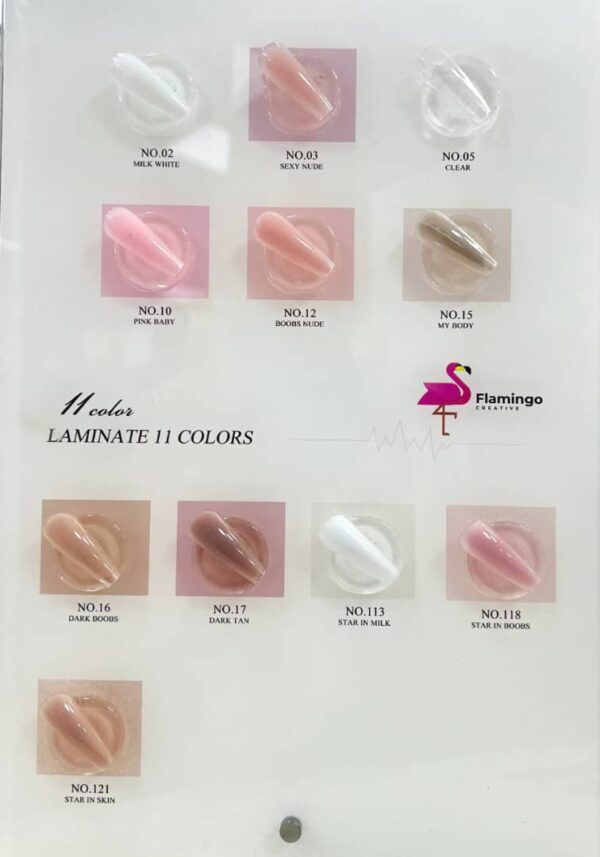 آلبوم لمینیت فلامینگو